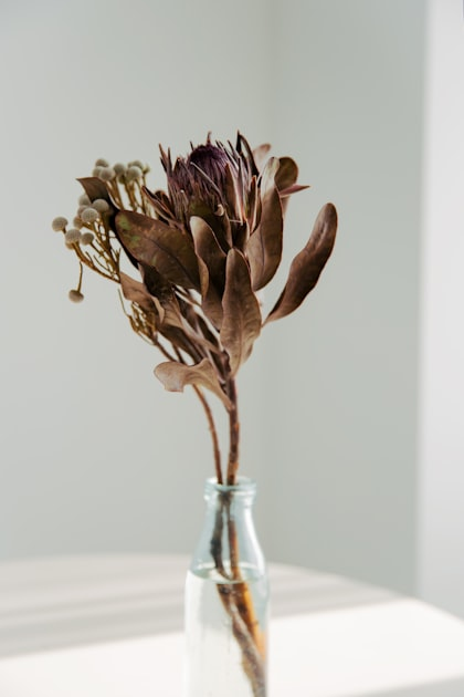The Benefits of Flower Preservation