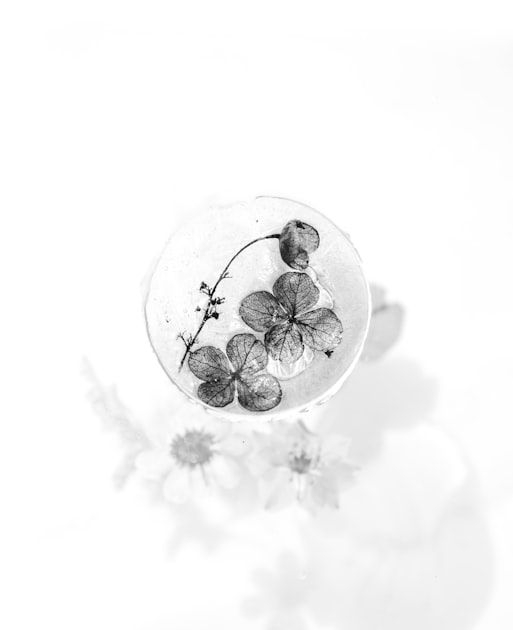 The Art of Preserved Flowers